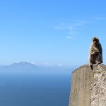 Gibraltar Mietwagen Fly und Drive ab 329€ 9 Tage Gibraltar mit dem Mietwagen