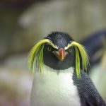 Zoo mit Hotel in Hannover