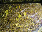 Fußballwochenende in Dortmund