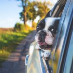 Günstige Mitfahrgelegenheiten schon ab 6,00€ Günstig Mitfahrgelegenheiten
