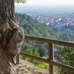 Städtereise Saarburg- Ferienpark Landal Warsberg