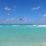 Ich habe euch den besten Cayo Coco Deal für 2019