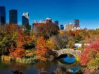 Städtereise günstig ab 446,55€ - Central Park New York City