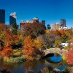 Städtereise günstig ab 446,55€ - Central Park New York City