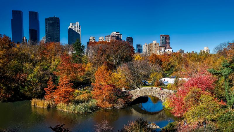 Städtereise günstig ab 446,55€ - Central Park New York City