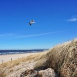Titel Wellnes Urlaub in Polen Swinemünde - 7 Tage 55 % günstiger Vollpension 169,00€