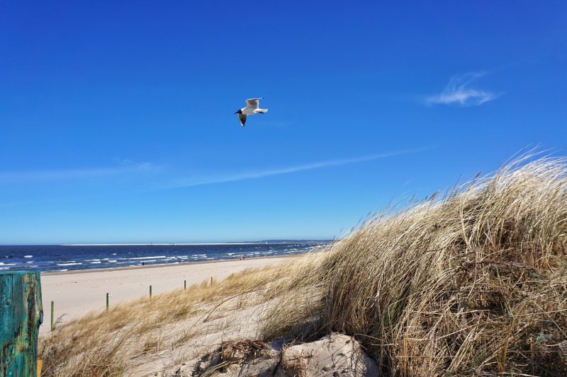 Titel Wellnes Urlaub in Polen Swinemünde - 7 Tage 55 % günstiger Vollpension 169,00€