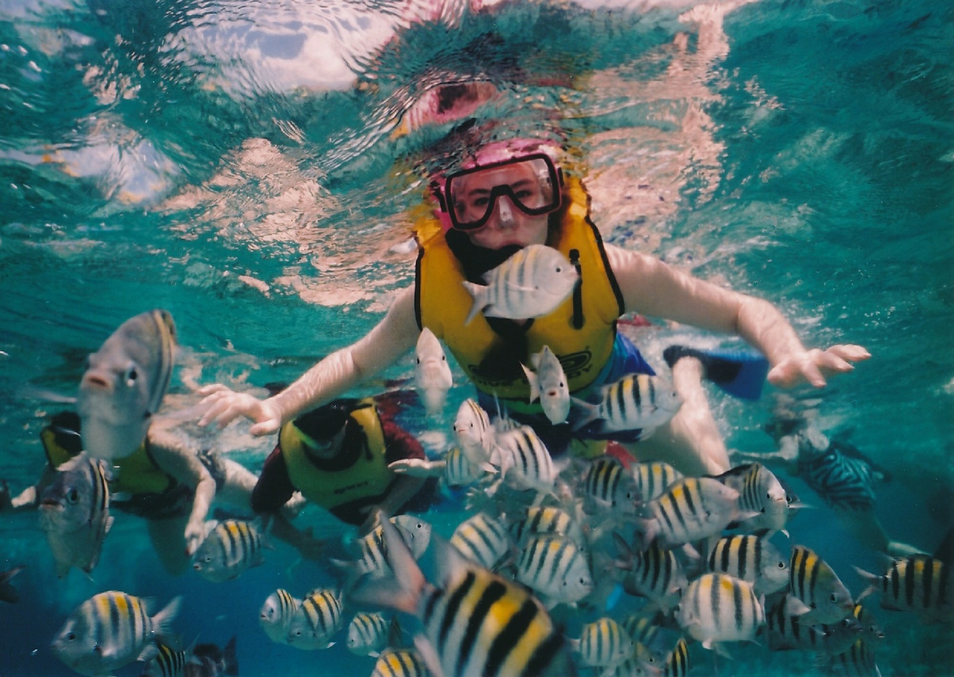 Das Unterwassermuseum Cancun wurde erschaffen um die Taucher von der gefährdeten Natur umzuleiten
