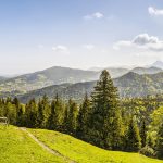 Günstiges Ferienhaus mieten - Preisvergleiche im Überblick