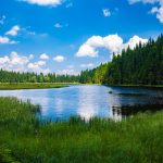 Hohenwarth Wellnessurlaub im Bayrischen Wald günstig ab 39,00€ All Inclusive
