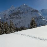 Skigebiete Schweiz Top 14 - für deinen perfekten Skiurlaub