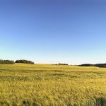Weißrussland Hotels ab 10,00€ Flüge nach Minsk hin & zurück ab 259,89€