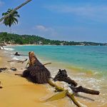 Langzeitreise Sri Lanka ein Monat ab 466,93€ Flüge sichern! Langzeitreise Sri Lanka ein Monat ab 466,93€ Flüge sichern!