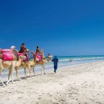 Urlaub auf Djerba Tunesien | eine Woche Pauschal Deals ab 225,00€ Urlaub auf Djerba Tunesien eine Woche Pauschal Deals ab 225,00€