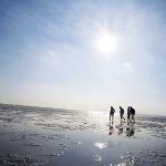 Center Parcs Nordseeküste ab 149,00€ die Woche p.P Nordsee Park