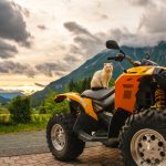 Quad Tour ab 69,00€ durch die Eifel bei Koblenz Quad Tour ab 69,00€ durch die Eifel bei Koblenz
