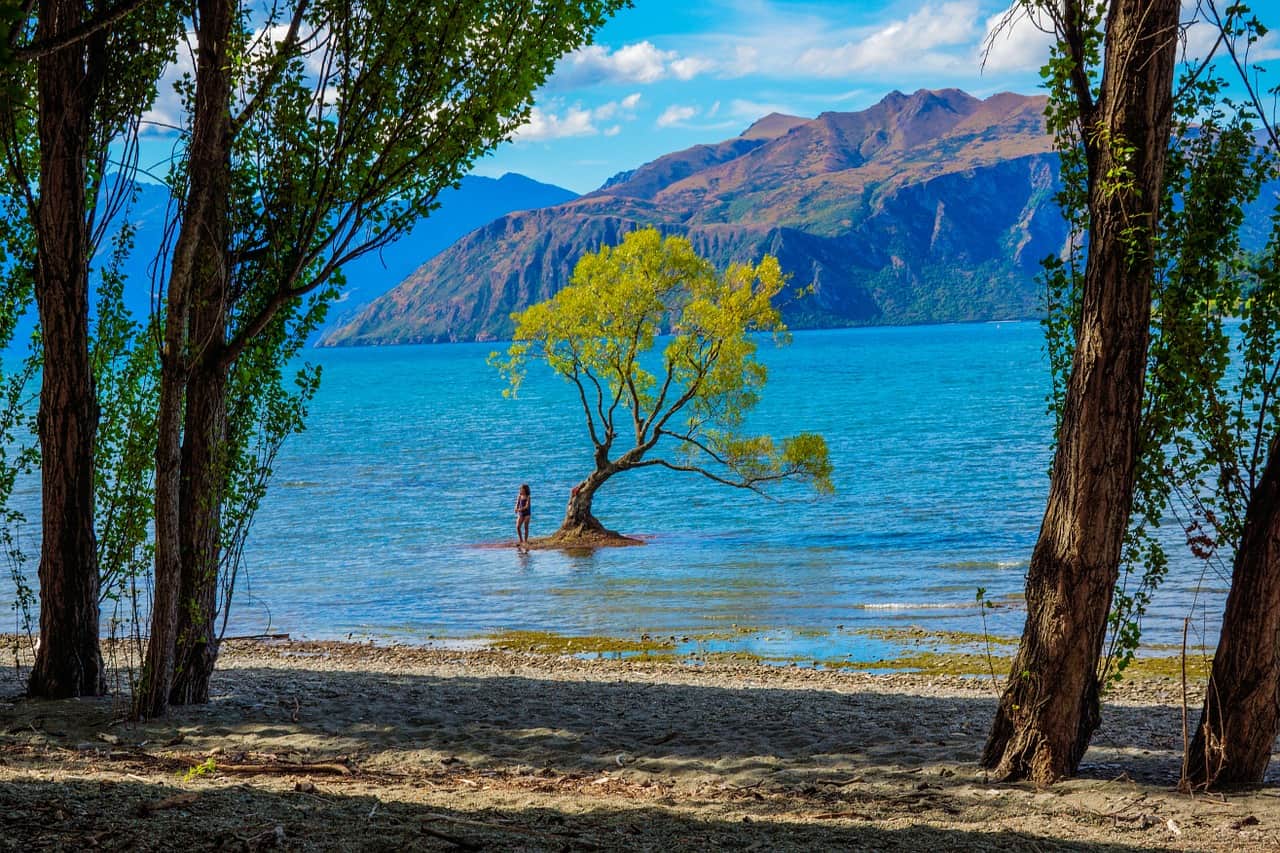 Wanaka Neuseeland Südinsel