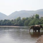 Elephant Hills Camp - Khao Lak ab 363,00€ Elephant Hills Camp - Khao Lak ab 363,00€ Nationalpark - Khao Sok