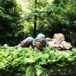 Freizeitpark mit Übernachtung Kaatsheuvel ab 199,50€ - 2 Tage