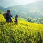 Malaysia Rundreise 9 tage 1.093 € - Spring Sale Malaysia Rundreise 9 tage 1.093 € - Spring Sale