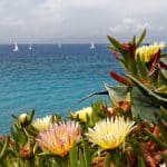 Kaliteha Urlaub in Rhodos nur 93,00€ - Auszeit in Falikraki Kaliteha Urlaub in Rhodos nur 93,00€ - Auszeit in Falikraki