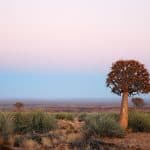 Namibia Urlaub ab 979,00€ | Pauschalreisen & Rundreisen zum Tiefpreis Namibia Urlaub ab 979,00€ Pauschalreisen & Rundreisen zum Tiefpreis