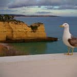 Albufeira Urlaub - All Inclusive 233,00€ | 1 Woche Portugal Albufeira Urlaub - All Inclusive 233,00€ 1 Woche Portugal