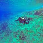 Coupon des Tages - 100,00€ Rabatt bei TUI auf Pauschalreisen Mindestens einen Tag sollte man sich die unter Wasserwelt im Mittelmeer auf der Insel gönnen
