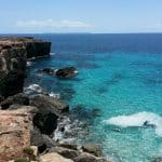 Mallorca im Dezember - nur 87,90€ die Woche | Flug & Hotel Mallorca im Dezember - nur 87,90€ die Woche Flug & Hotel