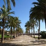 Palma Städtereise - 5 Tage nur 63,48€ | Flug & Hotel Palma Städtereise - 5 Tage nur 63,48€ Flug & Hotel