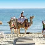 Pauschalreise 7 Tage Tunesien - Djerba Sun Club für nur 275,39€ Pauschalreise 7 Tage Tunesien - Djerba Sun Club für nur 275,39€