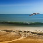 Side La Grande Hotel & Spa - All Inclusive 140,71€ 5 Luxus