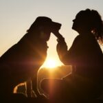 Hundeurlaub Wellness & Katze im Spa Hotel
