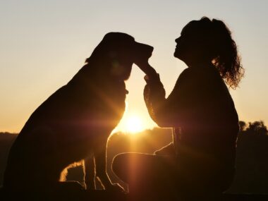 Hundeurlaub Wellness & Katze im Spa Hotel