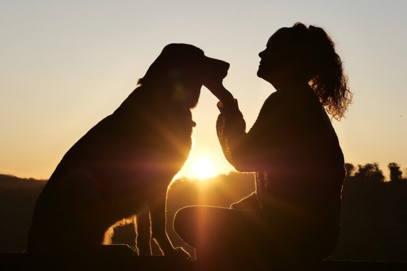 Hundeurlaub Wellness & Katze im Spa Hotel