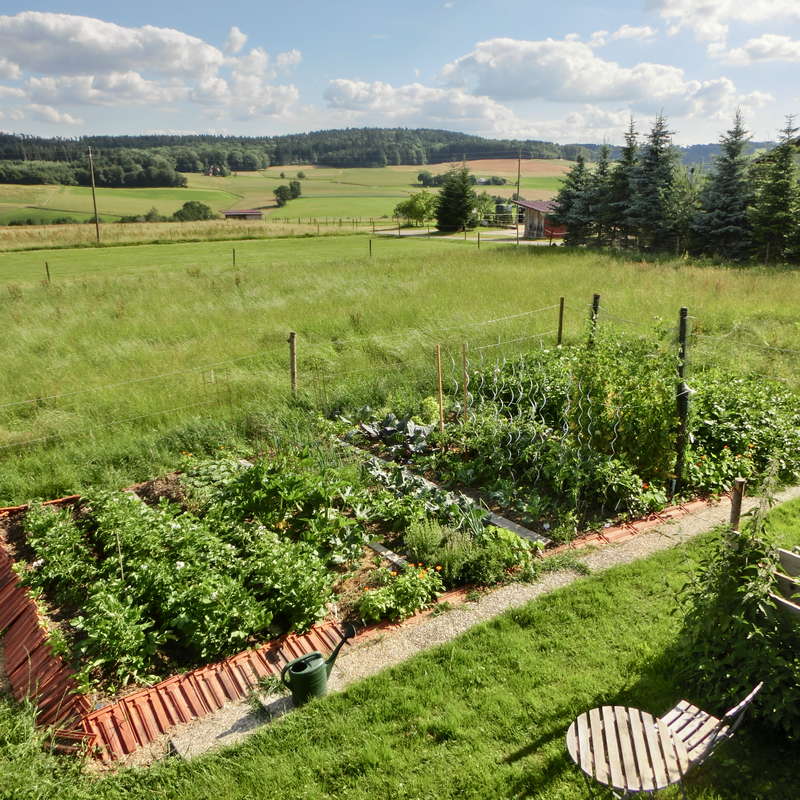 Top 5 Permakultur-Hotels in Deutschland – Höfe, Bio-Farmstays & Farm-to-Table Retreats 2 Permakultur Hotels in Deutschland