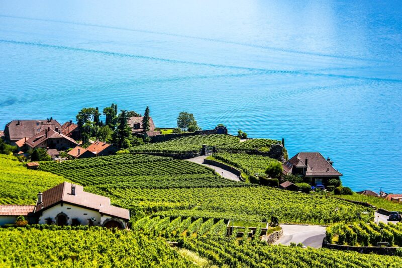 Winepod Hotel