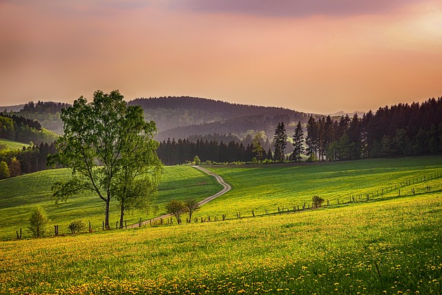 Wellness & Heilquellen: Die besten Thermalquellen und Kurorte im Sauerland 3 Die besten Thermalquellen und Kurorte im Sauerland