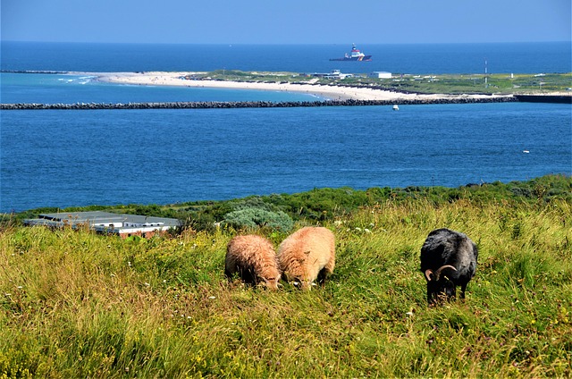 Top 10 Nordseeinseln: Die schönsten Inseln der Nordsee im Vergleich 2 Top 10 Die schönsten Inseln der Nordsee – Natur, Flair & Entspannung
