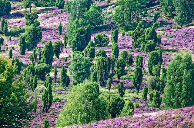 10 außergewöhnliche Ausflugsziele in Deutschland – Diese Geheimtipps kennst du wirklich noch nicht! 2 10 außergewöhnliche Ausflugsziele in Deutschland