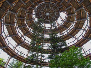 Deutschlands spektakulärste Baumwipfelpfade – Natur von oben erleben
