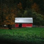black forest farmhouse
