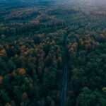 heilfasten kururlaub schwarzwald mit betreuung black forest germany