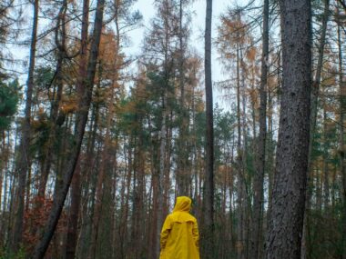 Regenwetter-Urlaub in Deutschland 3