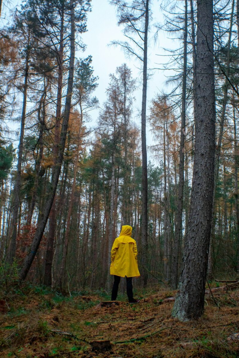 Regenwetter-Urlaub in Deutschland 1