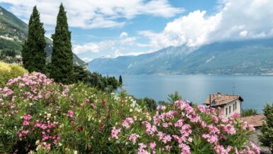 glamping gardasee direkt am see für familien 2