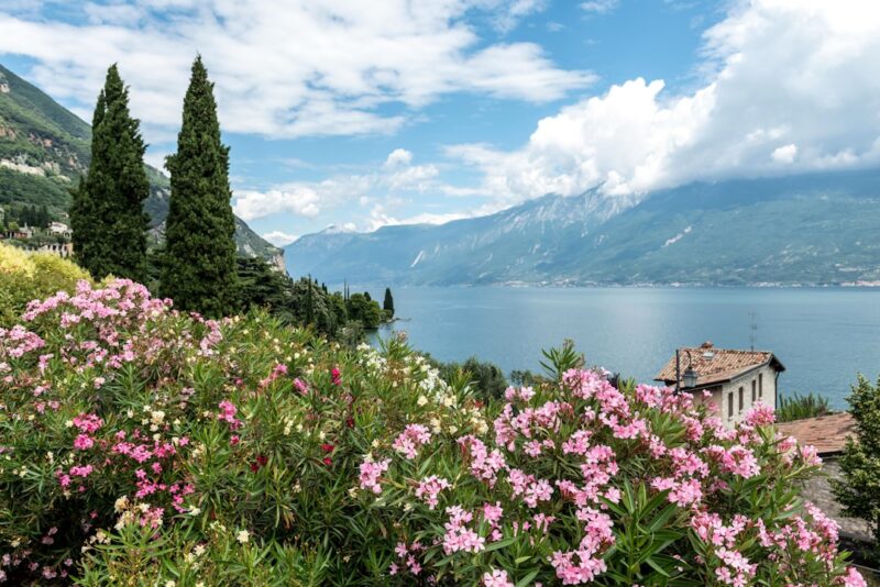 glamping gardasee direkt am see für familien 1