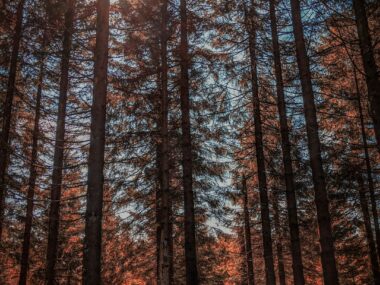 Wandern für Einsteiger in wenig bekannten Regionen 4