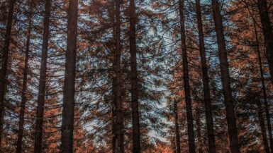 Wandern für Einsteiger in wenig bekannten Regionen 2