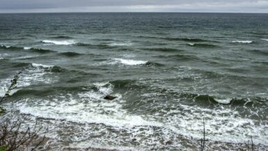 kururlaub rügen mit anwendungen buchen 3
